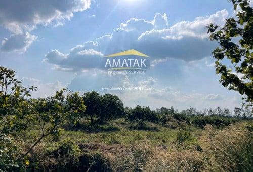 ដីកសិកម្មលក់ក្នុងតម្លៃទាបជាងទីផ្សារ