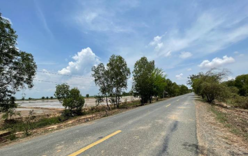 ដីជាប់ផ្លូវកៅស៊ូ លក់ក្រោមទីផ្សារ ព្រោះម្ចាស់ប្រញាប់លុយ (តម្លៃទីផ្សារ $១០/1ម2 នេះលក់តែ $៧/1ម2 ចចារ)