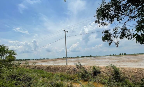 ដីជាប់ផ្លូវកៅស៊ូ លក់ក្រោមទីផ្សារ ព្រោះម្ចាស់ប្រញាប់លុយ (តម្លៃទីផ្សារ $១០/1ម2 នេះលក់តែ $៧/1ម2 ចចារ)