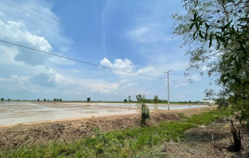 ដីជាប់ផ្លូវកៅស៊ូ លក់ក្រោមទីផ្សារ ព្រោះម្ចាស់ប្រញាប់លុយ (តម្លៃទីផ្សារ $១០/1ម2 នេះលក់តែ $៧/1ម2 ចចារ)
