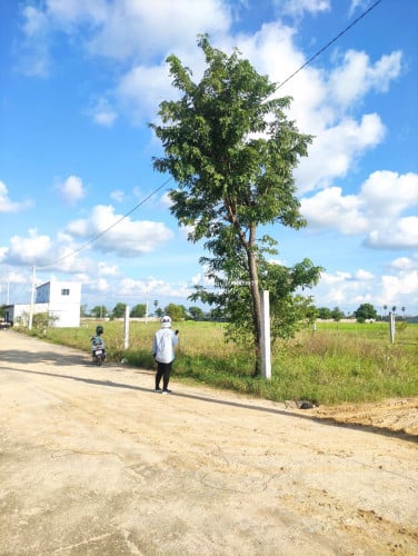ដីលក់ឡៃឡុង 10×20m - ជិតរោងចក្រហនុមាន