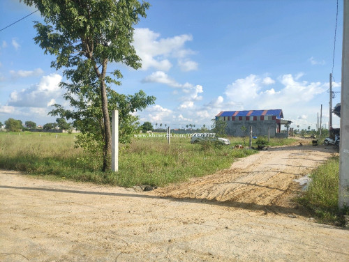 ដីលក់ឡៃឡុង 10×20m - ជិតរោងចក្រហនុមាន