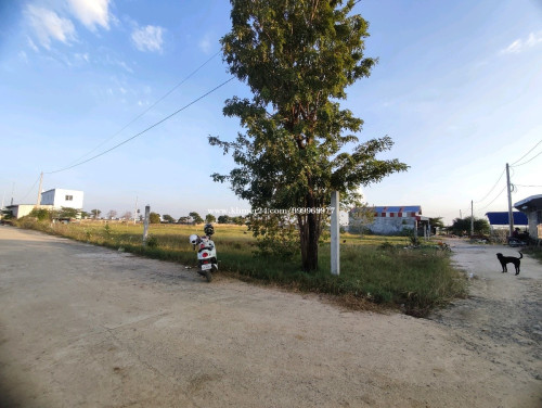 ដីលក់ឡៃឡុង 10×20m - ជិតរោងចក្រហនុមាន