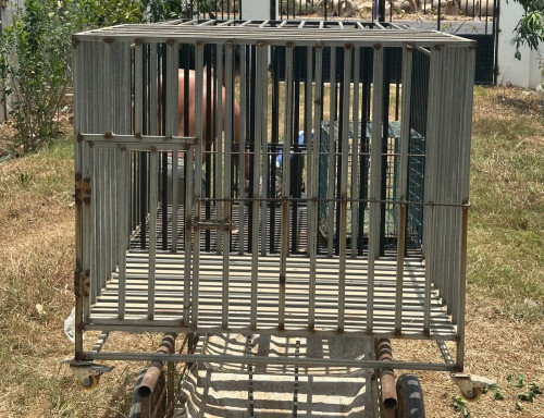 លក់ទ្រុងឆ្កែ ទាំង2
