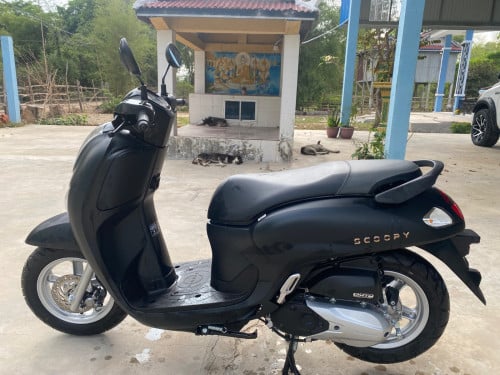 ខ្ញុំចង់លក់ Scoopy 2025 ថ្មីកេស