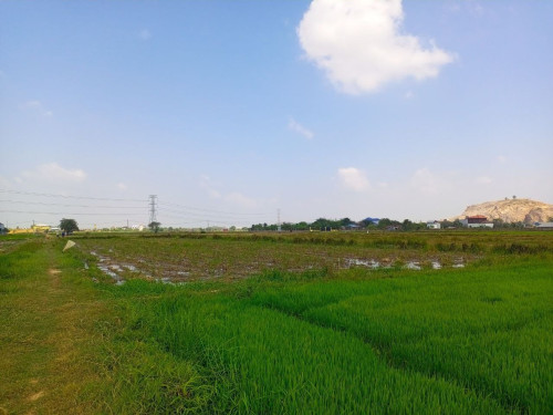 🏦Land Available for Urgent Sale at a Special Price (Negotiable).