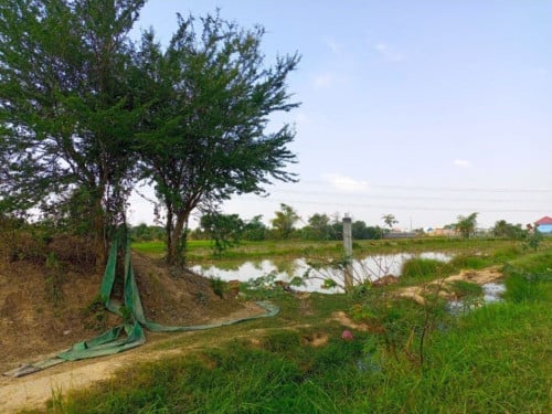 🏦Land Available for Urgent Sale at a Special Price (Negotiable).