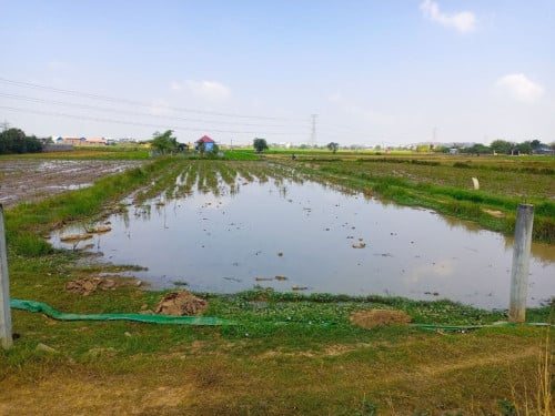 🏦Land Available for Urgent Sale at a Special Price (Negotiable).