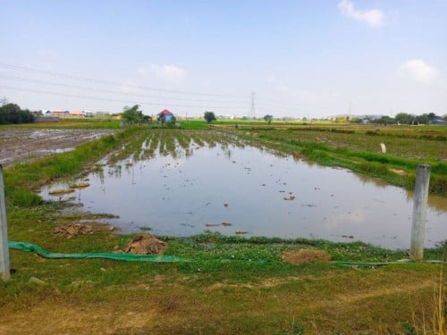 🏦Land Available for Urgent Sale at a Special Price (Negotiable).