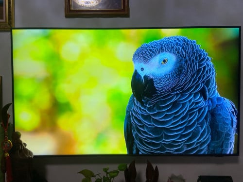 Samsung smart TV 55in