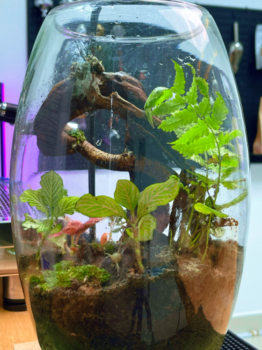 Terrarium