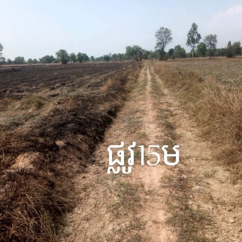 ដីលក់បន្ទាន់