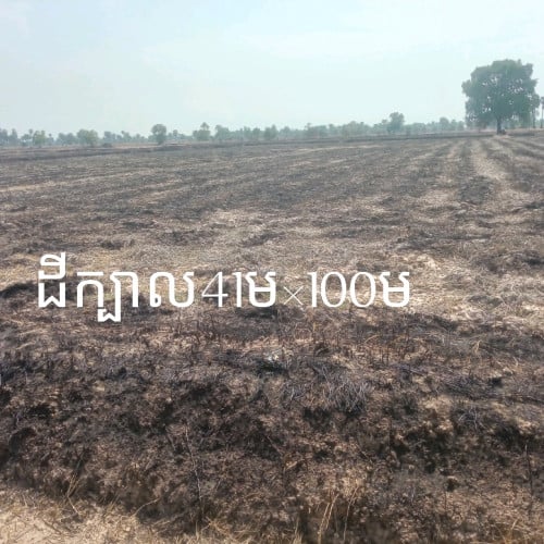 ដីលក់បន្ទាន់