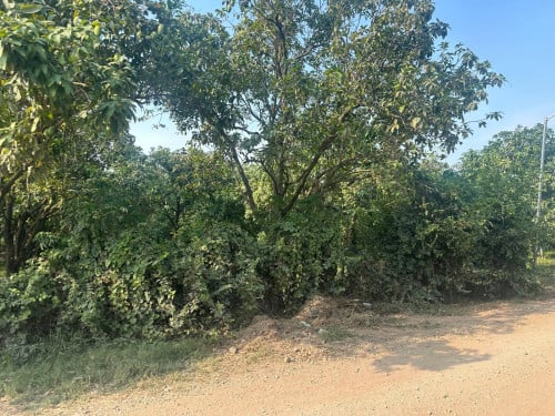 ដីលក់ព្រែកអំពិល ទំហំ 17m x 100m
