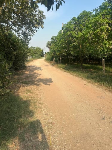 ដីលក់ព្រែកអំពិល ទំហំ 17m x 100m