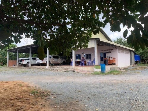 ដីចំការស្វាយ លក់ 30 ហិចតា