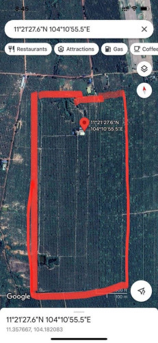 ដីចំការស្វាយ លក់ 30 ហិចតា