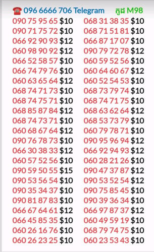 លេខMetfone ស្ទួនសាម