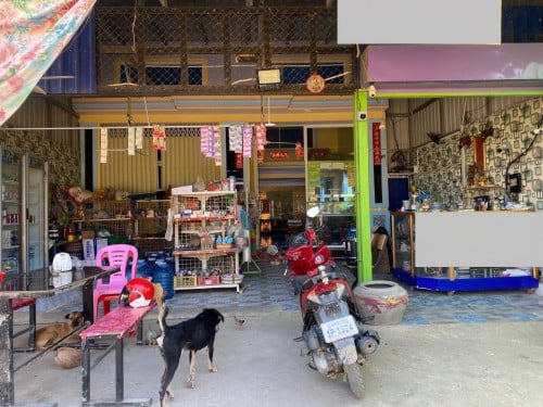 🏠ផ្ទះលក់ទីតាំងខាងកើតមណ្ឌល9,ប៉ោយប៉ែត