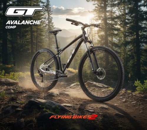 339$​ ចចារ​បាន​ GT Avalanche Comp Size S