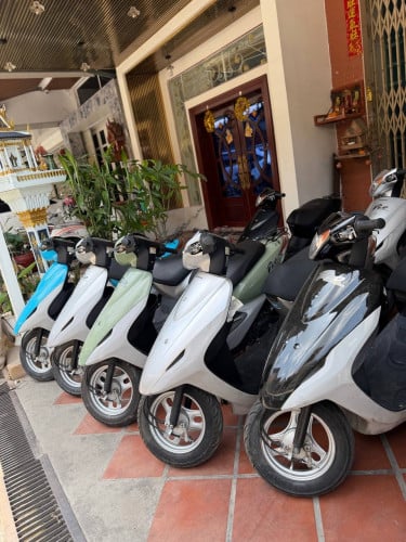 Dio 50cc ប្រភេទសាំងសុទ្ធ