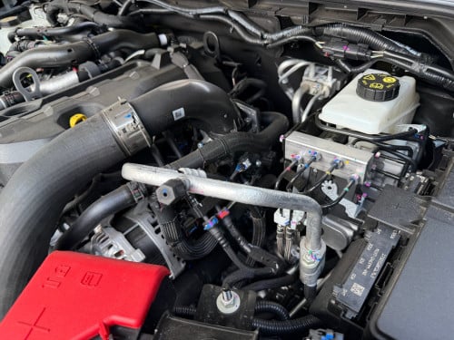 Everest Titanium 2026 ថ្មីខ្លាញ់គោ