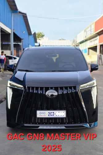 GAC GN8 VIP black Edition 2025