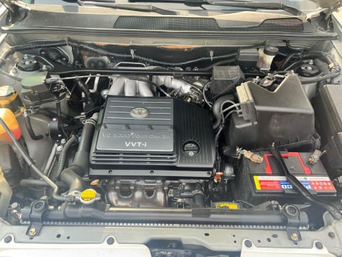 Highlander 01 limited ប៉ុង2