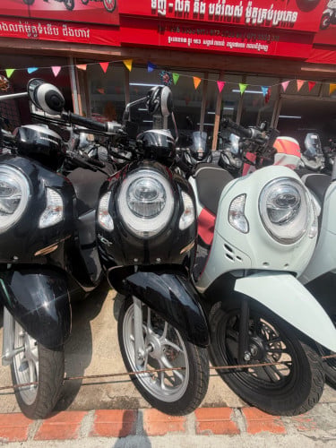Honda Scoopy 024 របស់ក្រុមហ៊ុន