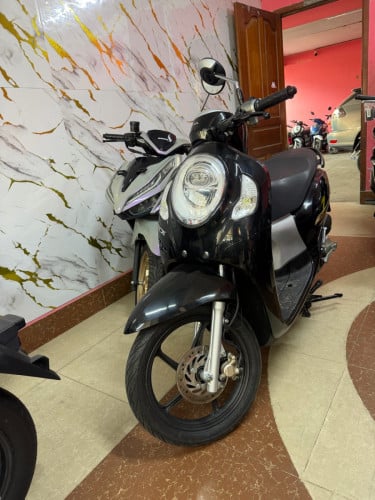 Honda Scoopy 024 របស់ក្រុមហ៊ុន