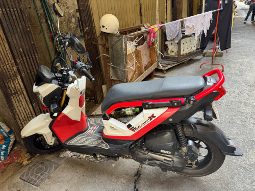 Honda zoomer x 018