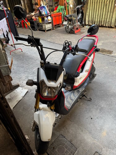 Honda zoomer x 018