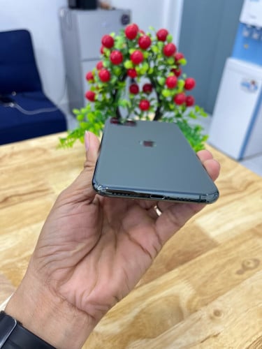 iPhone 11 Promax
