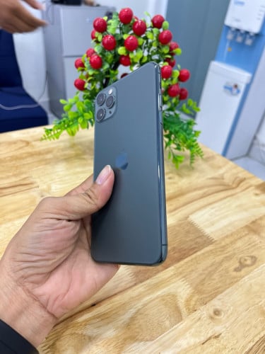 iPhone 11 Promax