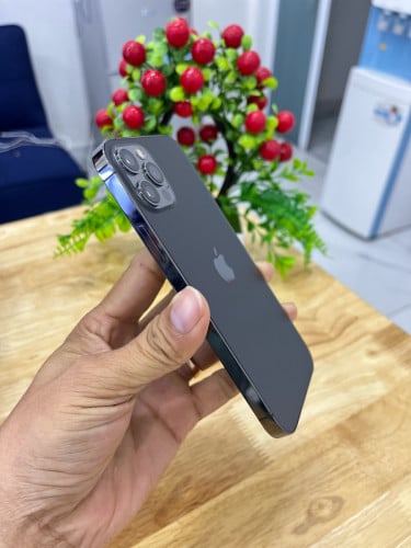 iPhone 12 Pro