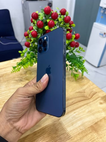 IPHONE 12 PROMAX