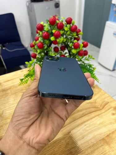 IPHONE 12 PROMAX