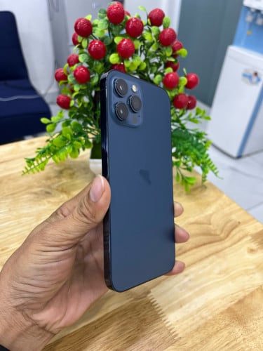 IPHONE 12 PROMAX