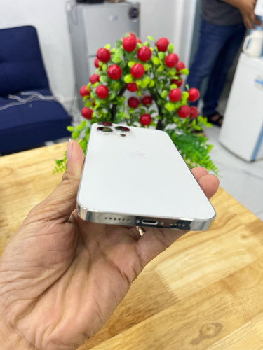 iPhone 12 Promax