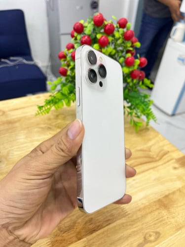 iPhone 12 Promax