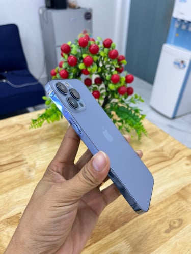 IPHONE 13 PROMAX