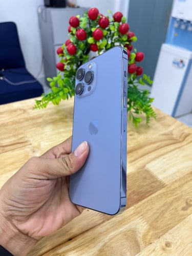 IPHONE 13 PROMAX