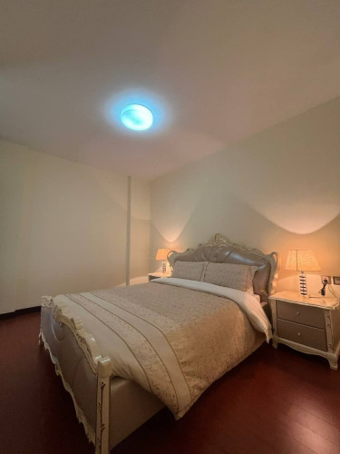 Penthouse 5Bedroom For rent