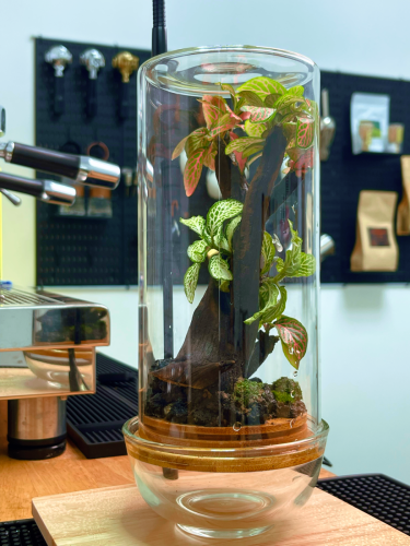 Terrarium