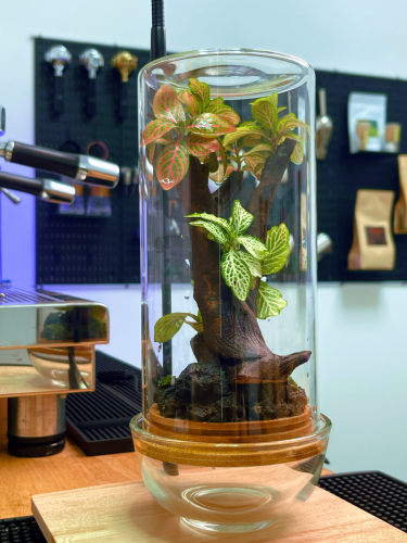 Terrarium