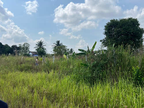 ដីលក់បន្ទាន់