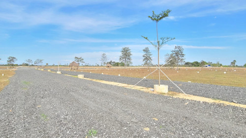 ដីលក់
