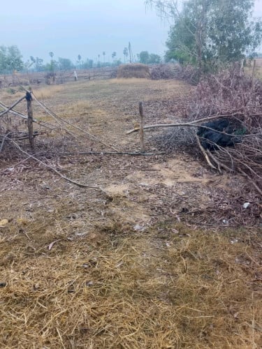ដីផ្ទះលក់បន្ទាន់