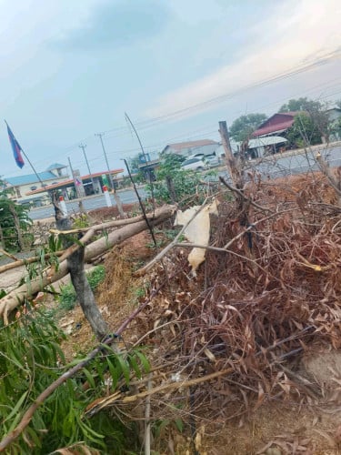ដីផ្ទះលក់បន្ទាន់