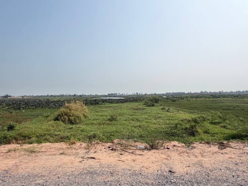 ដីលក់បន្ទាន់ព្រែកលួងជាប់ផ្លូវធំស្អាតទំហំ : 15m x 70m